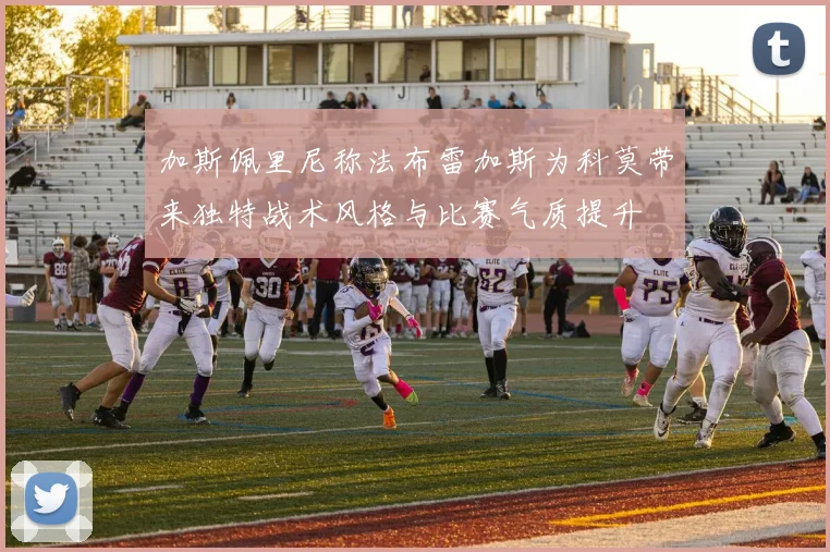 加斯佩里尼称法布雷加斯为科莫带来独特战术风格与比赛气质提升