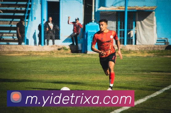 亿德体育平台生态图