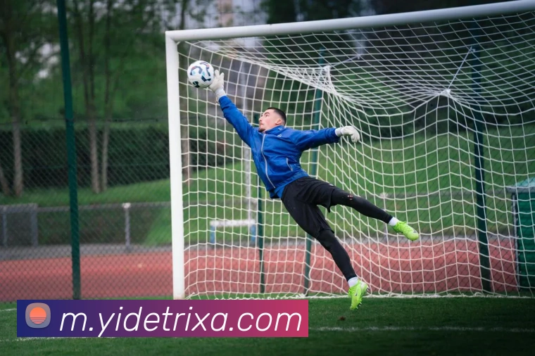 亿德体育全站App